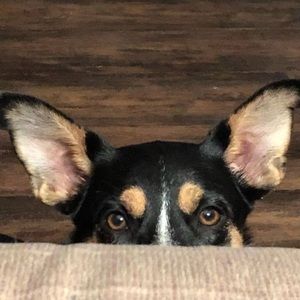 Meet your Posher, Dorlene